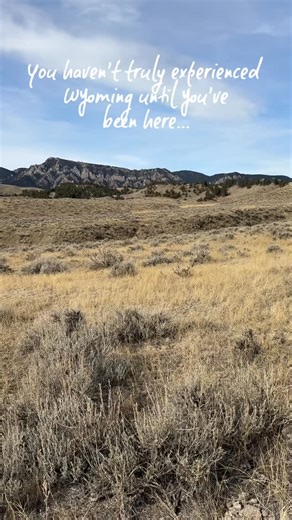 You haven't truly experienced Wyoming until you've experienced Buffalo. Buffalo and Kaycee, WY are two of the most historic and authentic towns in the heart of Wyoming with unique lodging, dining, and shopping situated in incredible natural beauty. Immerse yourself in the Western way of life with year-round adventures from hiking, fishing, and horseback riding to mountain biking and cross country skiing. Plan your trip today at visitbuffalowy.com #visitbuffalowy #buffalowyoming #buffalowy #wyomi