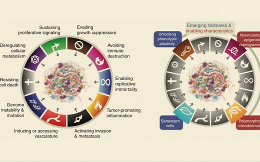 一起精读英文文献顶刊综述之Hallmarks of cancer 2022（一）：Abstract部分（如何用marginnote和欧路词典看英文文献）