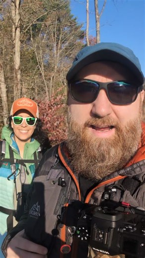 Doing a bit of bird photography and birding at one of Mass DCR's parks - Blue Hills Reservation. | Dan Fischelli Photography