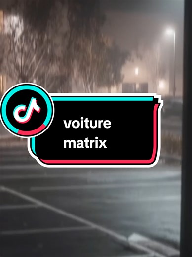 Exploring the Matrix: Real or Fake?