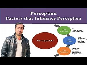 Perception and Factors that Influence Perception | Organizational Behavior