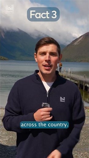 Four KEY Freedom Camping Facts NZ