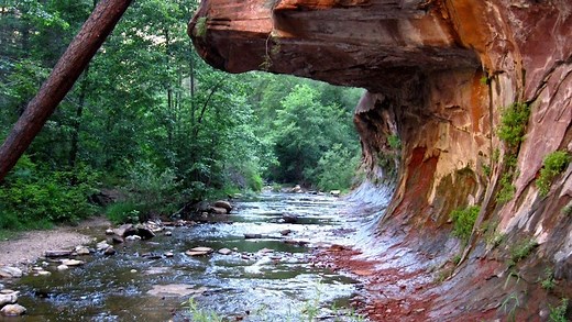 Arizona's 10 best hikes are gorgeous. Here's where they are and how to do them