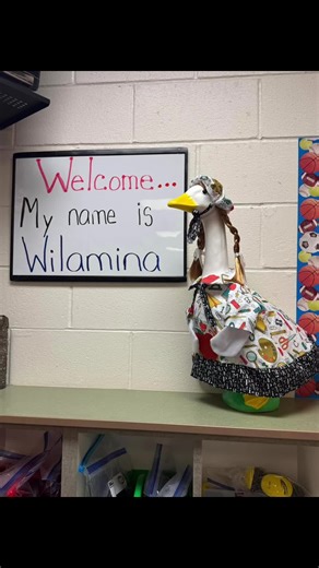 Classroom Goose Trend: Weekly Messages and Highlights