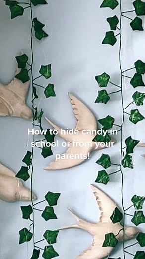 How to Hide Candy in School or from Your Parents!