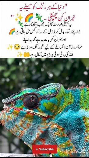 Color Changing Lizard Amazing Nature🦎🌈✨ #Chameleon #ColorChanging #LizardFacts #ytshorts #shortsfeed