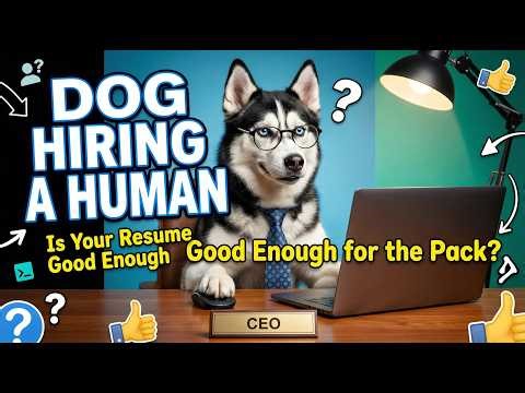 Siberian Husky Interviews Future Owner | Doggy HR Test 🐾🐺