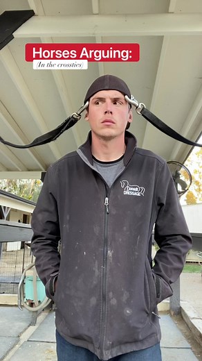 880K views · 7.7K reactions | Horses Chatting Series- Part 1 - Side...