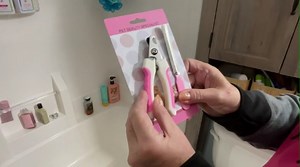 Watch Exactly what I was looking for on Amazon Live