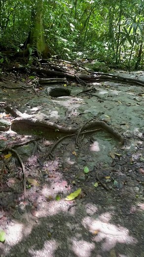 Chultunes de los Mayas: Almacenamiento y Agua