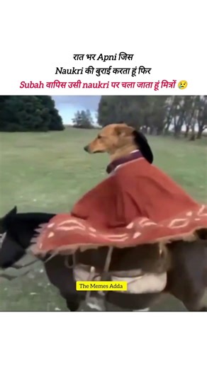 😢😢🤯 #funny #comedy #viral #shorts#trending #short #videos #new #navratri #tiktok #reels #most