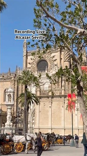 Recording Live: Alcazar Seville #spain #seville #alcazar