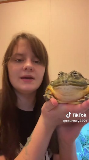 Complete Guide to African Bullfrogs as Pets