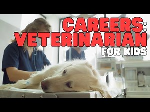 Careers: Veterinarian for Kids | Learn about the job of a veterinarian - Videos For Kids