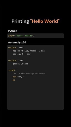 python & Assembly 👇👇 #programmation #coding #programming #débutant #python #assembly #asembly