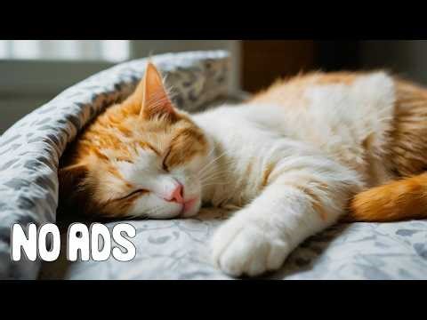 Healing Music for Cats With Anxiety 🎵🐾 Sleep Aid & Relaxation Sounds