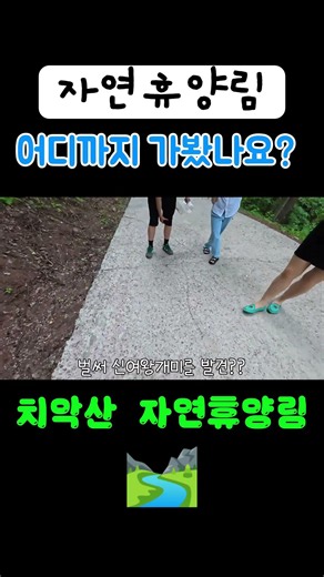 #치악산자연휴양림 #1박2일 #Shorts #가족여행 #신여왕개미찾기 #여왕개미 #찾아라 #일본왕개미 #홍가슴개미 #과학숙제 #드럼치는드림하이아빠