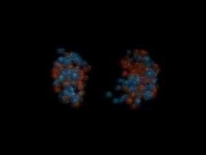 Fission