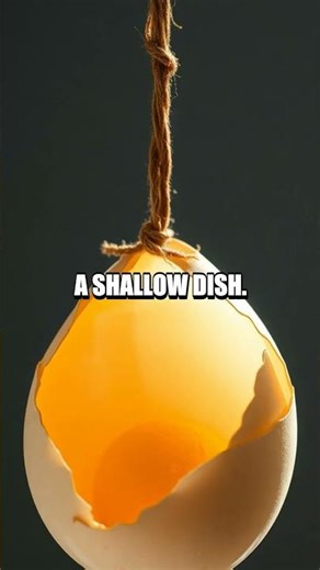 Eggshell Geode at Home: A Crystal Seed Mystery