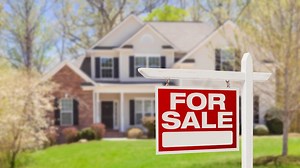 'The housing market may not be as hot in 2021 as it was in 2020': Economist