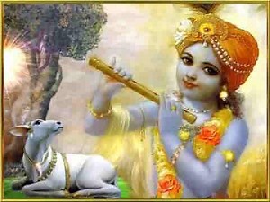 मेरी ज़िन्दगी सवर जाए अगर तुम मिलने आ जाओ लिरिक्स - Bhajan Diary
