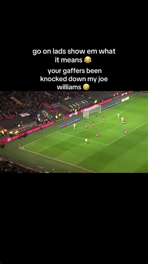 Bristol City vs. Millwall Football Highlights