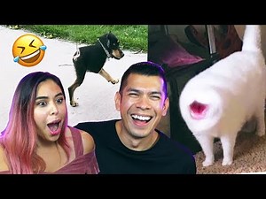 Reacting to the Best Fails of 2019(So Far) LOL!