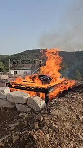 Watch: Biblical Red Heifer ritual comes to life