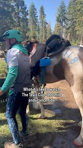 Congratulations to everyone who entered, and gave the 2025 Tevis Cup (100 miles!) their best shot! #enduranceride #endurancehorse #horseriding | Renegade Hoof Boots