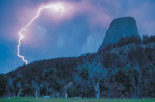 In the Light of Reverence (2001)