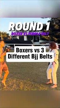 Boxers Vs 3 Different Bjj Belts #mma