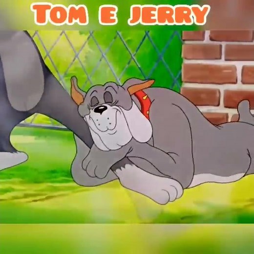 O SPIKE MORDEU O TOM!!! | ANIMAÇÃO DO TOM E JERRY #shorts