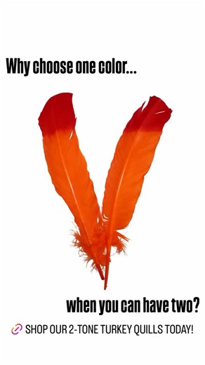 Turkey Quills available now!🩷❤️🧡💛💚💙💜 🌐www.schumanfeathers.com | Schuman Feathers