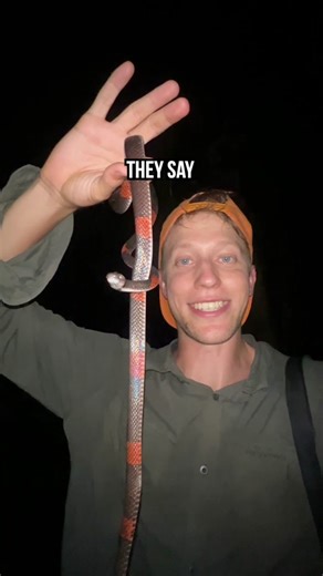 Exploring the Thriving Ecosystem of the Amazon Jungle 🐒