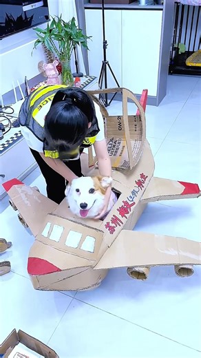 Dog’s fighter jet crash landing 😂😍