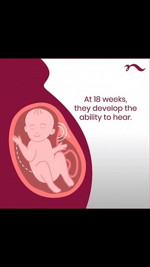 Did you know that your baby can hear from inside the womb? They can! From the 18th week, their hearing has developed enough for them to be able to hear sounds outside the womb. Sing your baby a song or just talk to them to make them happy! ... Nova IVF follows all safety protocols and all our staff have been vaccinated. Patient safety is at the heart of everything we do. . . . #pregnancy #infertility #ferilitytreatment #fertilityjourney #pregnancyjourney #fertilitysupport #infertilitytreatment #