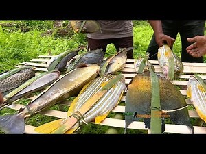 JEJAK PETUALANG | SURGA ALAM HALMAHERA (15/01/19) PART 3