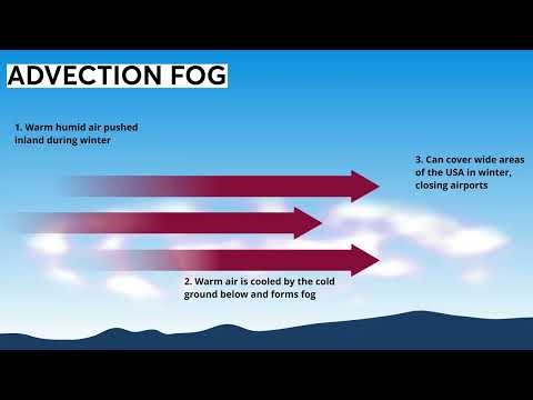 Advection fog