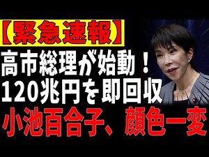 【緊急検証】高市総理の改革が直撃！小池百合子を巡る補助金疑惑が拡大…未公開文書が語る真相とは？ 【ゆっくり解説】
