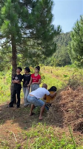 Rumput kering
