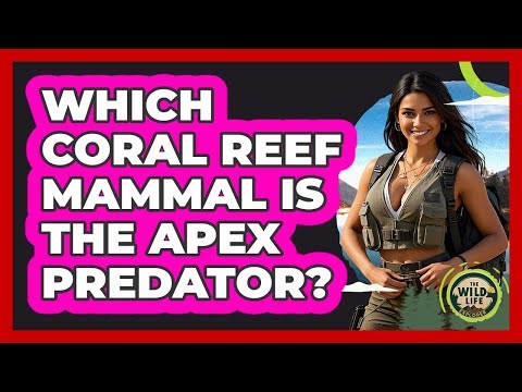 Which Coral Reef Mammal Is The Apex Predator? - The Wild Life Explorer