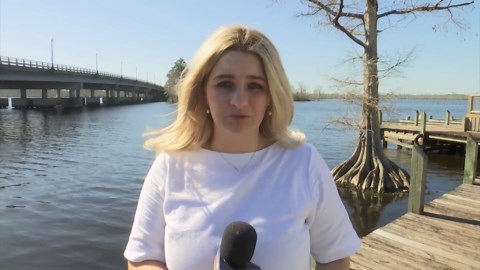 Possible limit of harvesting female crabs leaves NC fishermen concerned