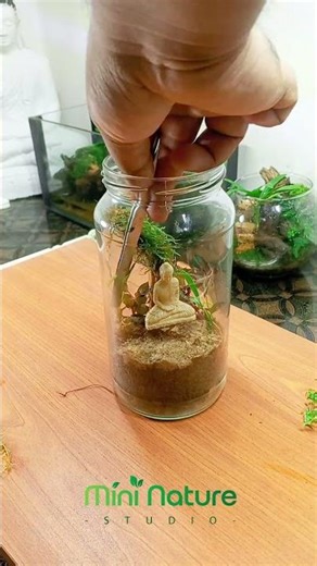 Relaxing Terrarium Design 🌿 Pure Peace ✨how to design a terrarium in a bottle #aquascape #terrarium