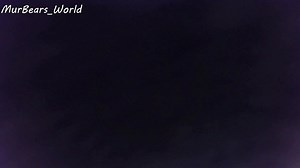 murbears_world Chaturbate webcam recordings, Archivebate