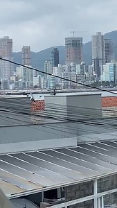 73K views · 795 reactions | Na manhã deste domingo, duas meninas e um...