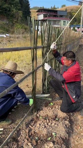 Learn this trick, and you can build a natural fence for your garden too.
