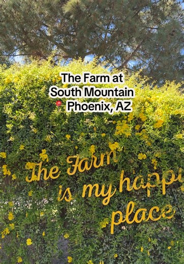 Nestled amongst groves of over 100 pecan trees, The Farm at South Mountain is a must-visit spot in Phoenix. Featuring farm-to-table dining, shaded gardens and farm animals. A relaxing, rustic escape in the middle of the desert. There are 3 on-site restaurants: 🌿 Morning Glory Cafe: -A signature Arizona breakfast spot, Morning Glory Café serves house smoked meats, seasonal omelettes, fresh baked goods, and more. Hours: Tuesday–Friday, 8 a.m. to 12 p.m. Saturday & Sunday, 8 a.m. to 1 p.m. 🌿 The 