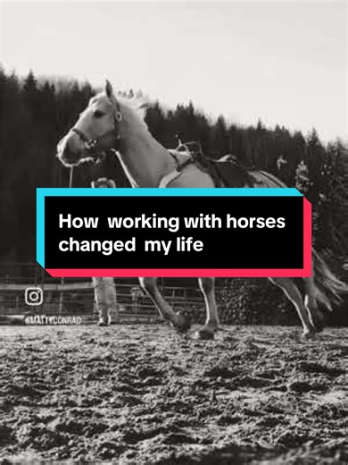 Working with horses has yaight me more about myself than anytjing else ever has…. #horses #ranchlife #ranch #horsemanship