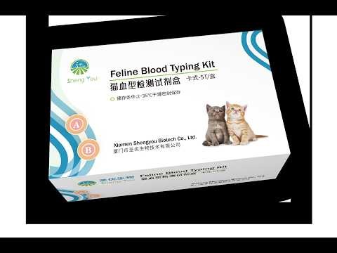 Feline Blood Typing Kit for Cats | Rapid Veterinary Blood Type Test