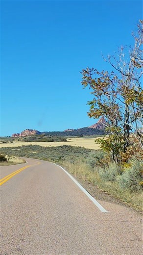 Hidden Gem Drive in Zion National Park | Kolob Terrace Road to Kolob Reservoir Scenic Adventure
